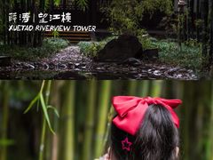 -望江楼公园