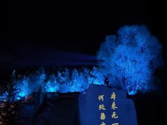 -禅宗少林·音乐大典