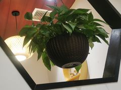 -蘇河湾·新鲁菜·泰山宴(宝龙店)