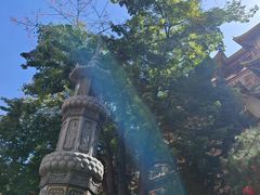 -越秀西湖花市(广州城市广场花卉店)