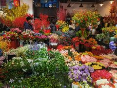 -双季花艺园艺市场(浦东店)