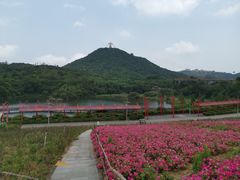 -东部华侨城