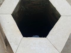-小鱼草莓采摘园农家乐·小鱼餐厅