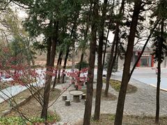 -北京鹫峰国家森林公园