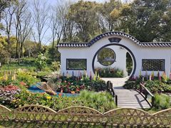 -上海共青森林公园