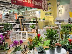 -宜家家居(四元桥商场店)