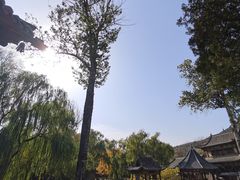 -晋祠公园