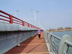 -漕湖湿地公园