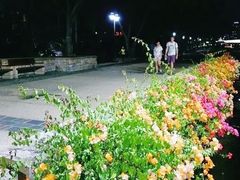 -布里斯班南岸公园