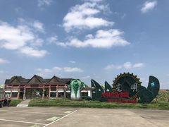 -上海都市菜园
