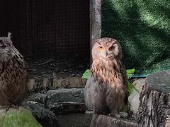 -沈阳鸟岛