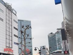 -涩谷全向十字路口