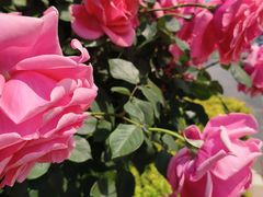 -同德昆明广场购物中心