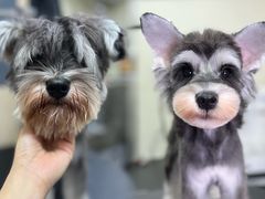 -小尾巴宠物店(万科·金域华庭店)