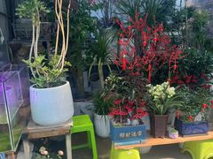 -循礼门鲜花花市(武汉循礼门店)