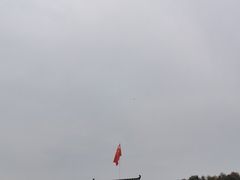 -千年银杏谷文化旅游区