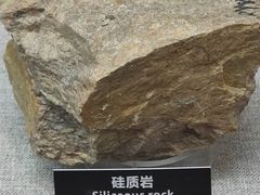 -甘肃地质博物馆