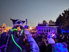 -巴黎迪士尼乐园