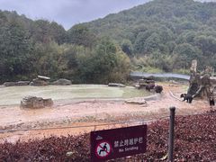 -杭州野生动物世界