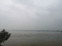 -宝安西湾红树林湿地公园