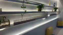 -MONICA BOX美甲美睫