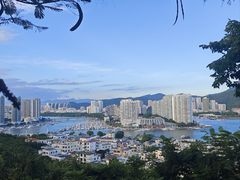 -圣廷苑酒店-世纪楼菲苑自助餐厅