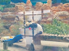 -石家庄市动物园