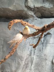 -Zoolung Zoolung动物主题公园(海信广场店)