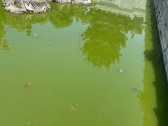 -南海禅寺
