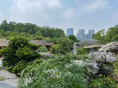 -顺峰山公园
