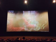 -汉阳天河电影城(王家湾店)