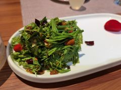 清爽云南沙松针-雀舞云南菜(乐客城店)