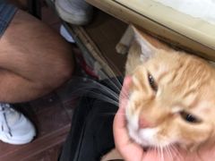 -老地方面馆(思南路店)