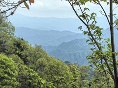 -王顺山国家森林公园