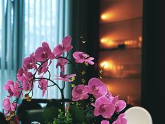-酒蜻蜓·庭院私房菜(天元东路店)