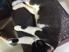 -广慈小吃铺沪味佳饭堂