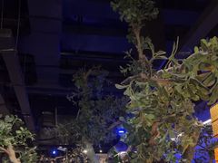 -绿茶餐厅(燕郊永旺店)