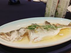 蒸海鲈鱼-同济大酒店(绿宝广场店)