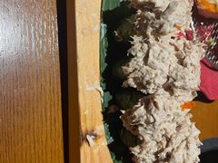 -二丁目食堂(浑南花园城店)