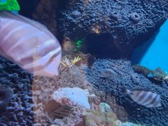 -横店影视城梦幻谷园区