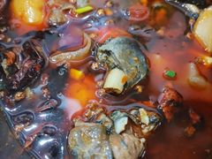 -黑竹香鸡(营和巷店)