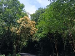 -紫金山天文台