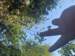 -南京市无想山景区