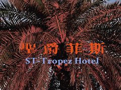 -圣爵菲斯大酒店(长沙世界之窗店)