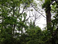 -灵隐飞来峰景区