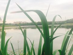 -美兰湖景区