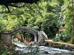 -广州市石门国家森林公园
