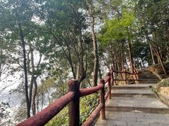 -铁山坪森林公园