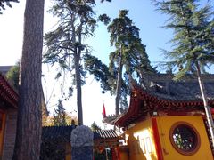 -崆峒山景区