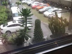 -联合口腔(西环诊所)